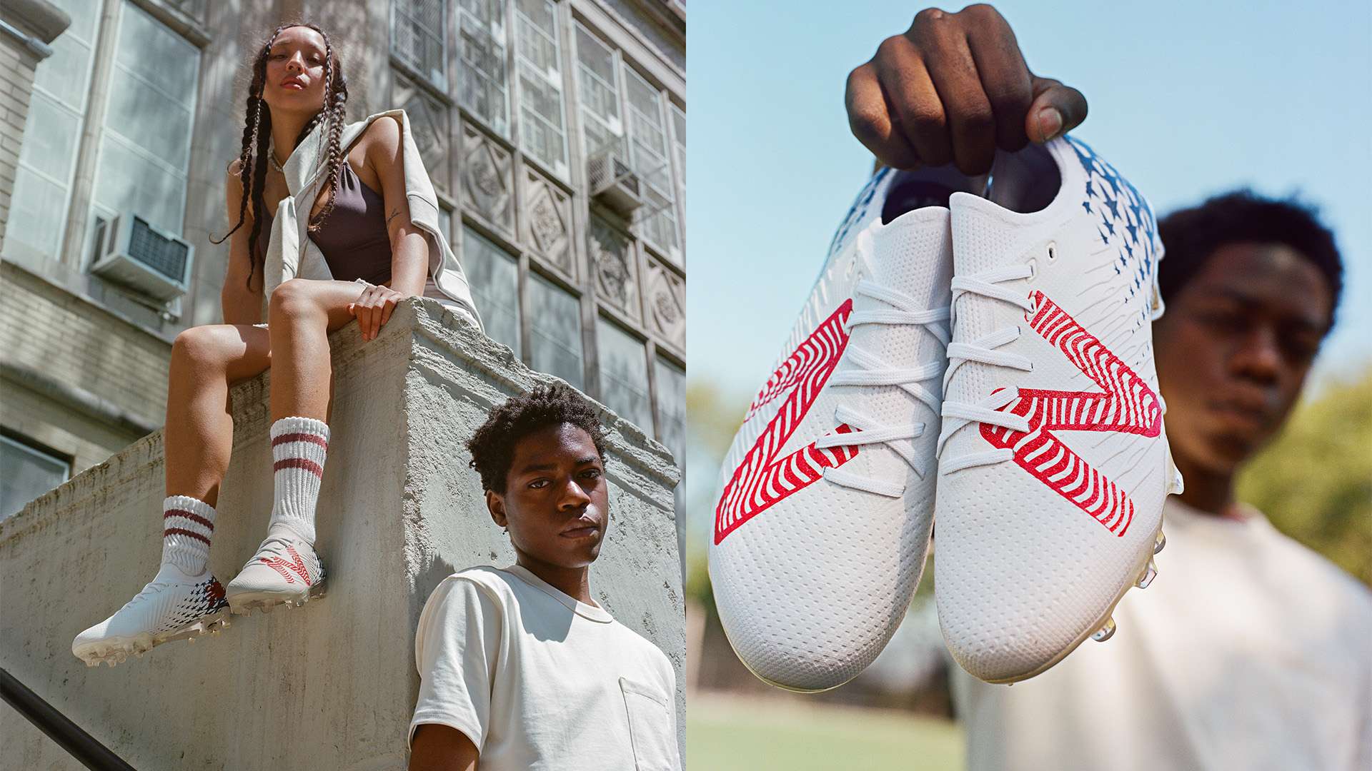 迷的关注 迷的关注