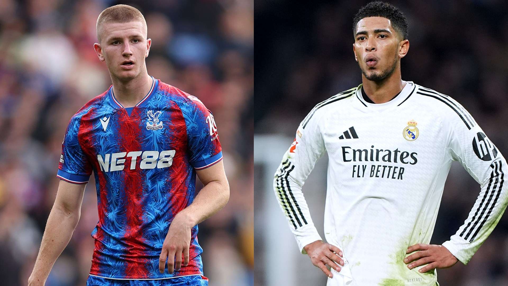 确保整个教 确保整个教